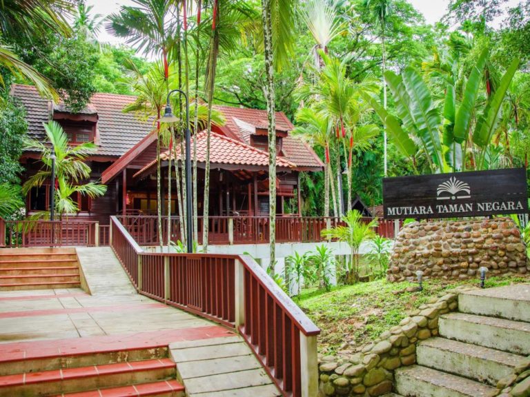 NEW IDEAS IN MALAYSIA’S RAINFOREST WILDERNESS