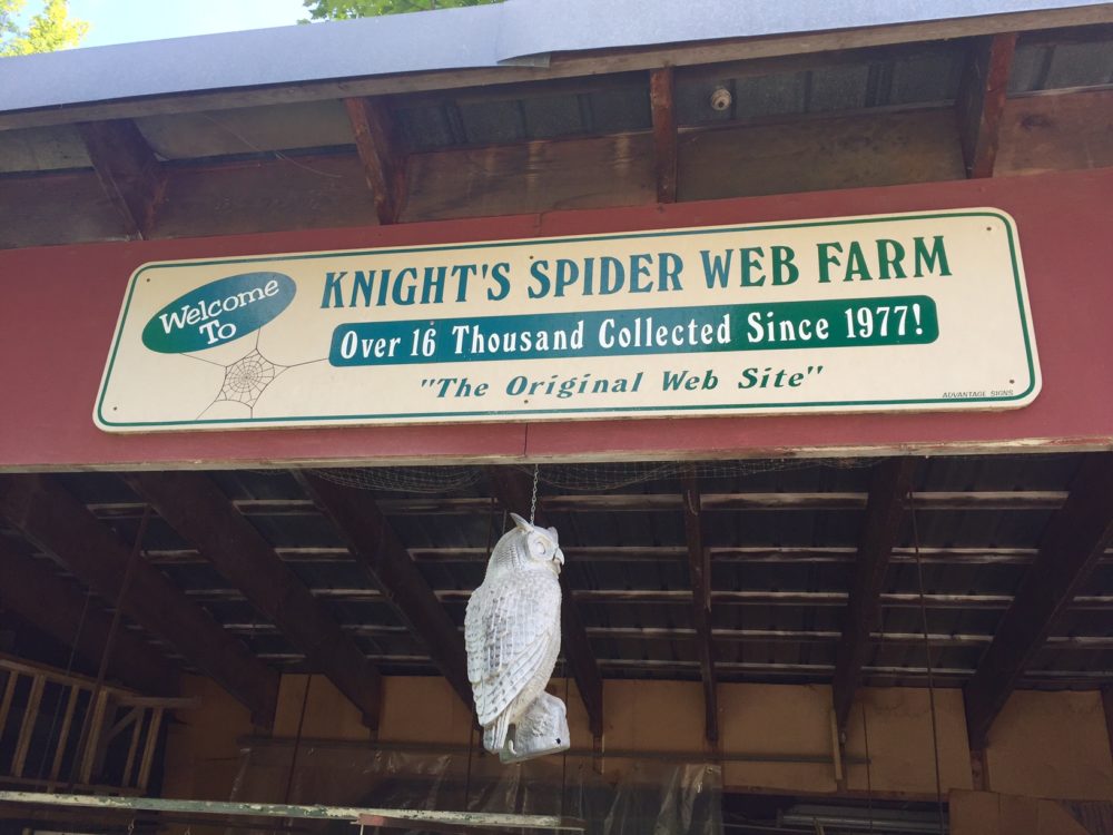 Knight's Spider Web Farm