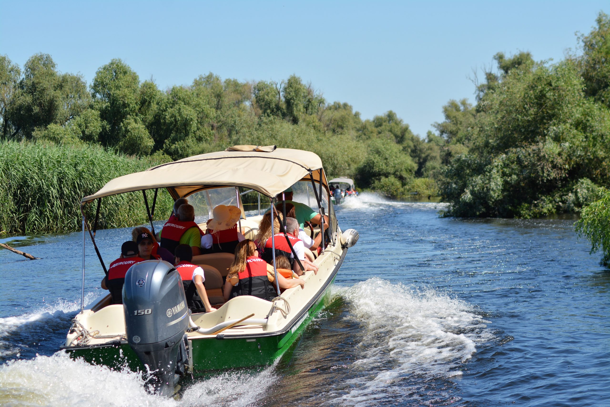 danube_delta