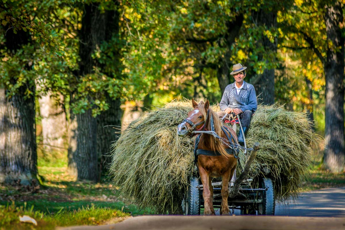 life-in-maramures