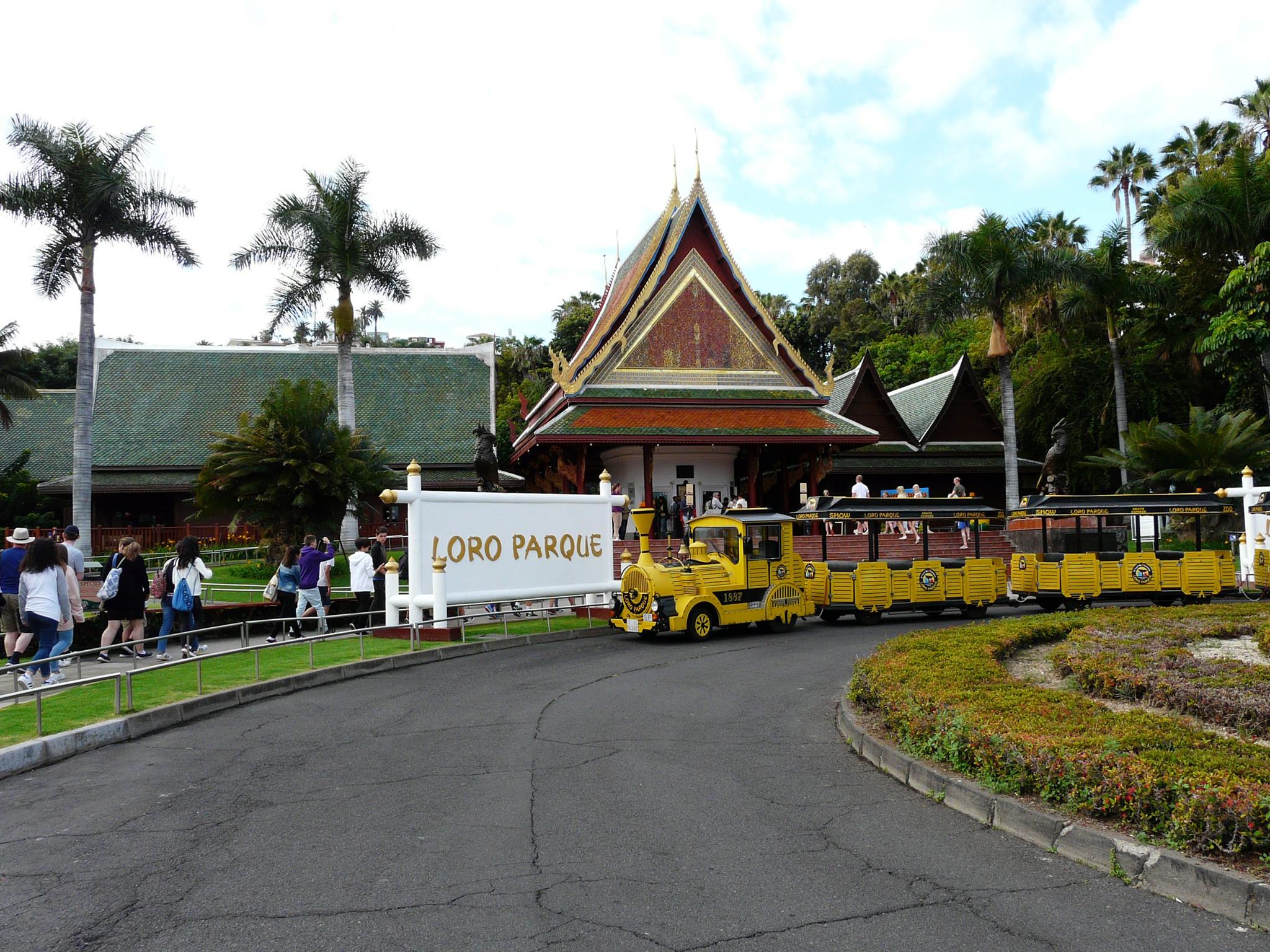 Loro-Parque-Tenerife 