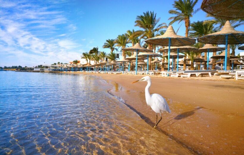 hurghada
