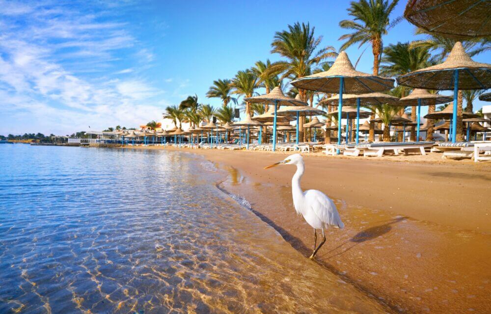hurghada