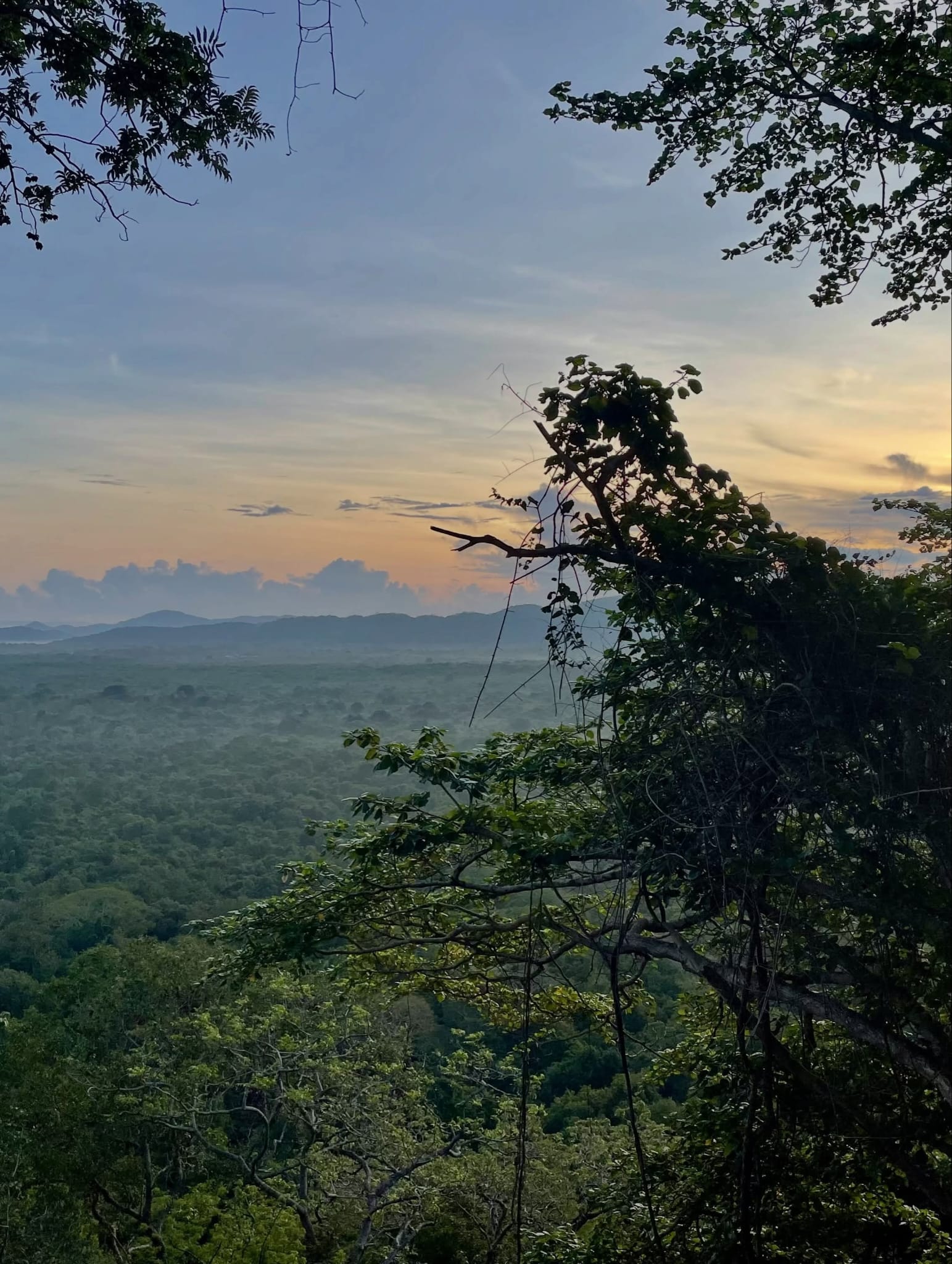 Sigiriya Rock