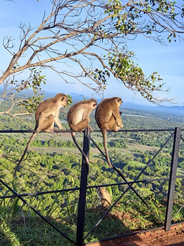 Sigiriya Rock